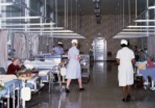 Photo:General hospital ward, c.1970