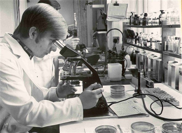 Photo:Photograph of a laboratory and man using a microscope, 1970 (catalogue reference: SBHF/PG/11)